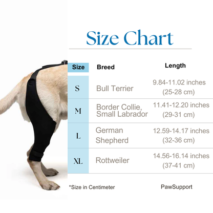 PawSupport Brace