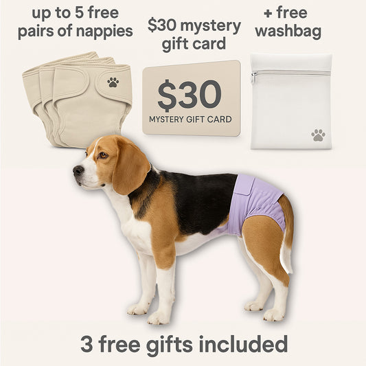 LunaWraps -  Premium Reusable Dog Nappies
