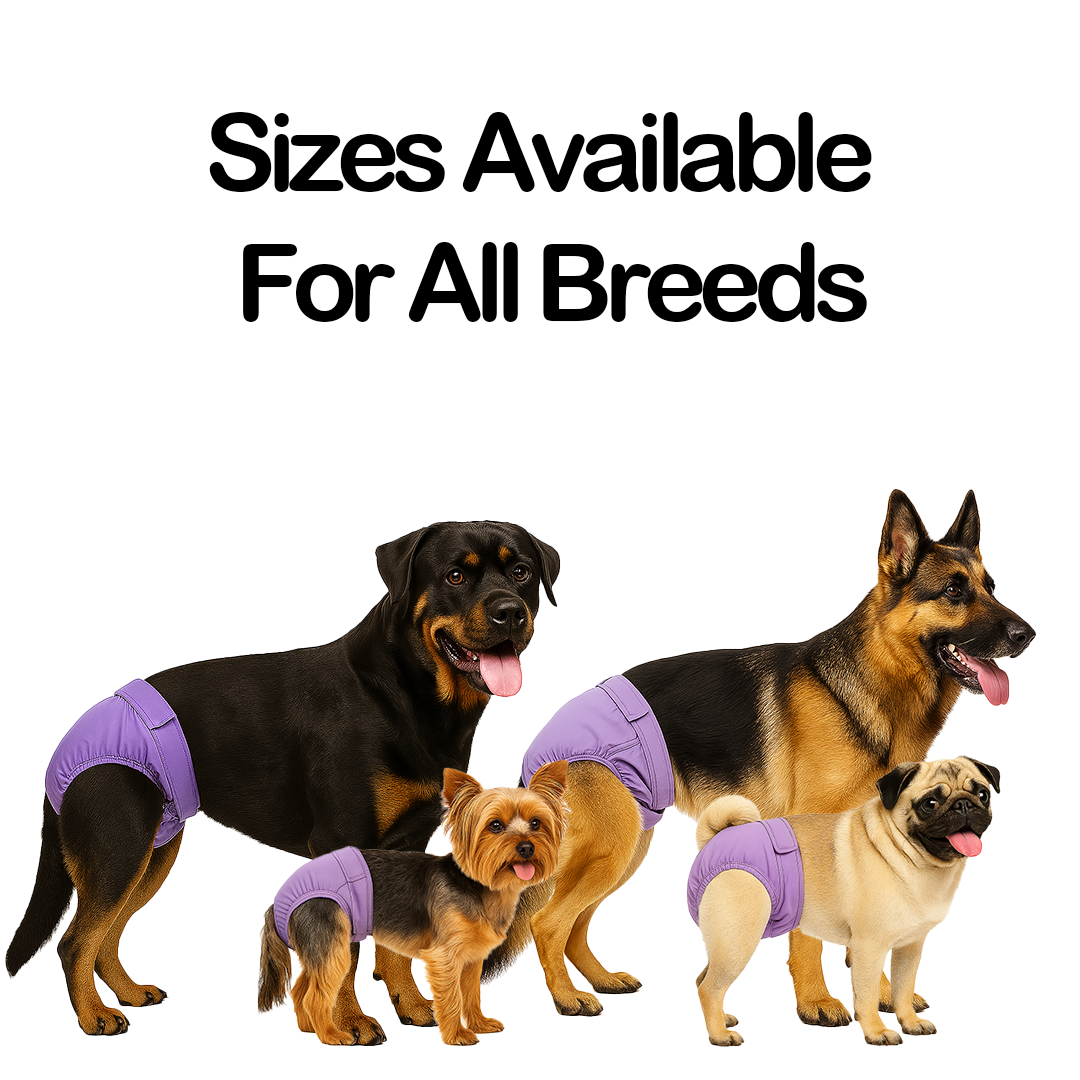LunaWraps -  Premium Reusable Dog Nappies